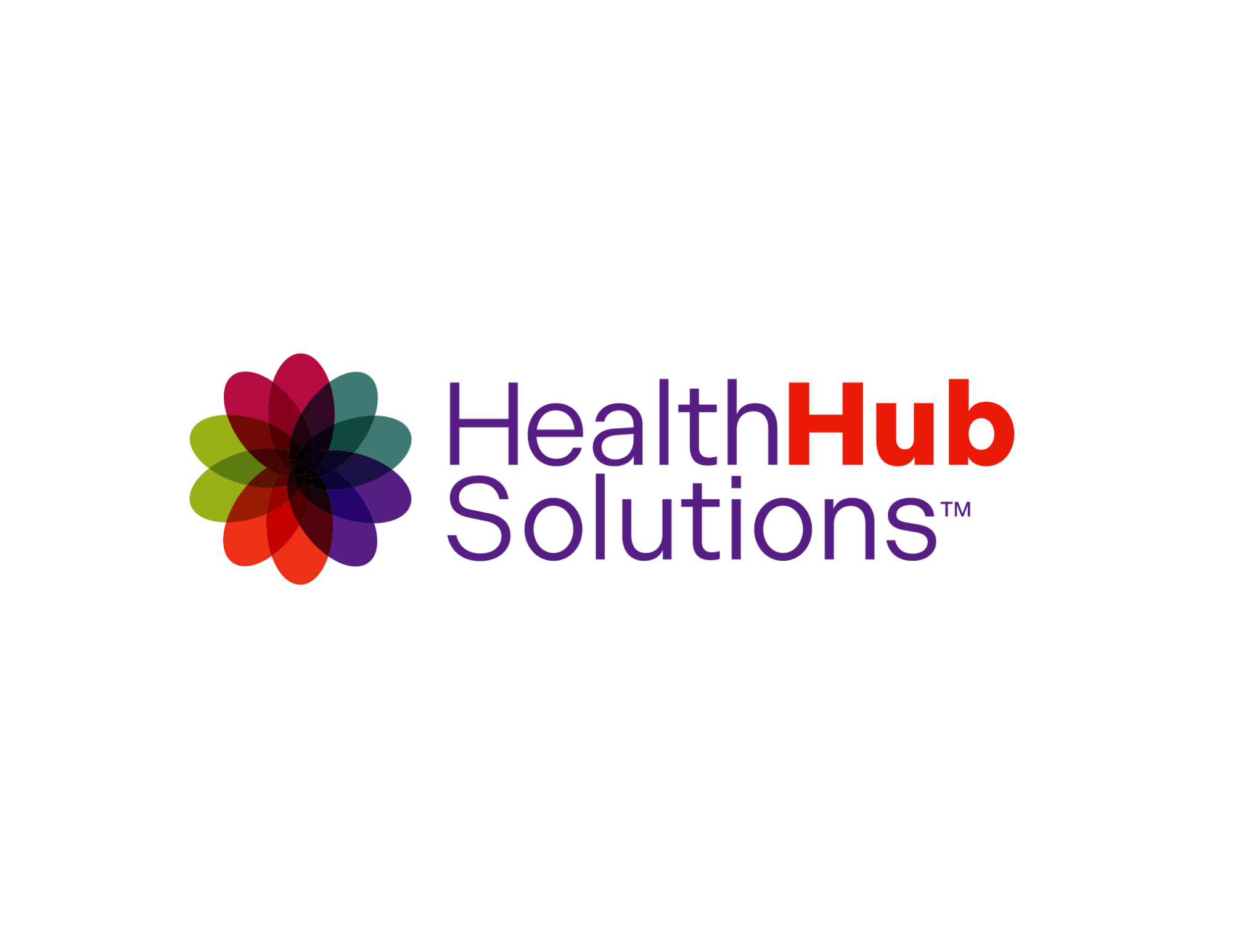 HealthHub Solutions Logo 2025